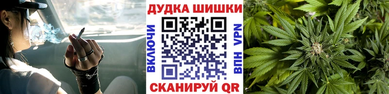 Конопля план  Купить где  Кимры 
